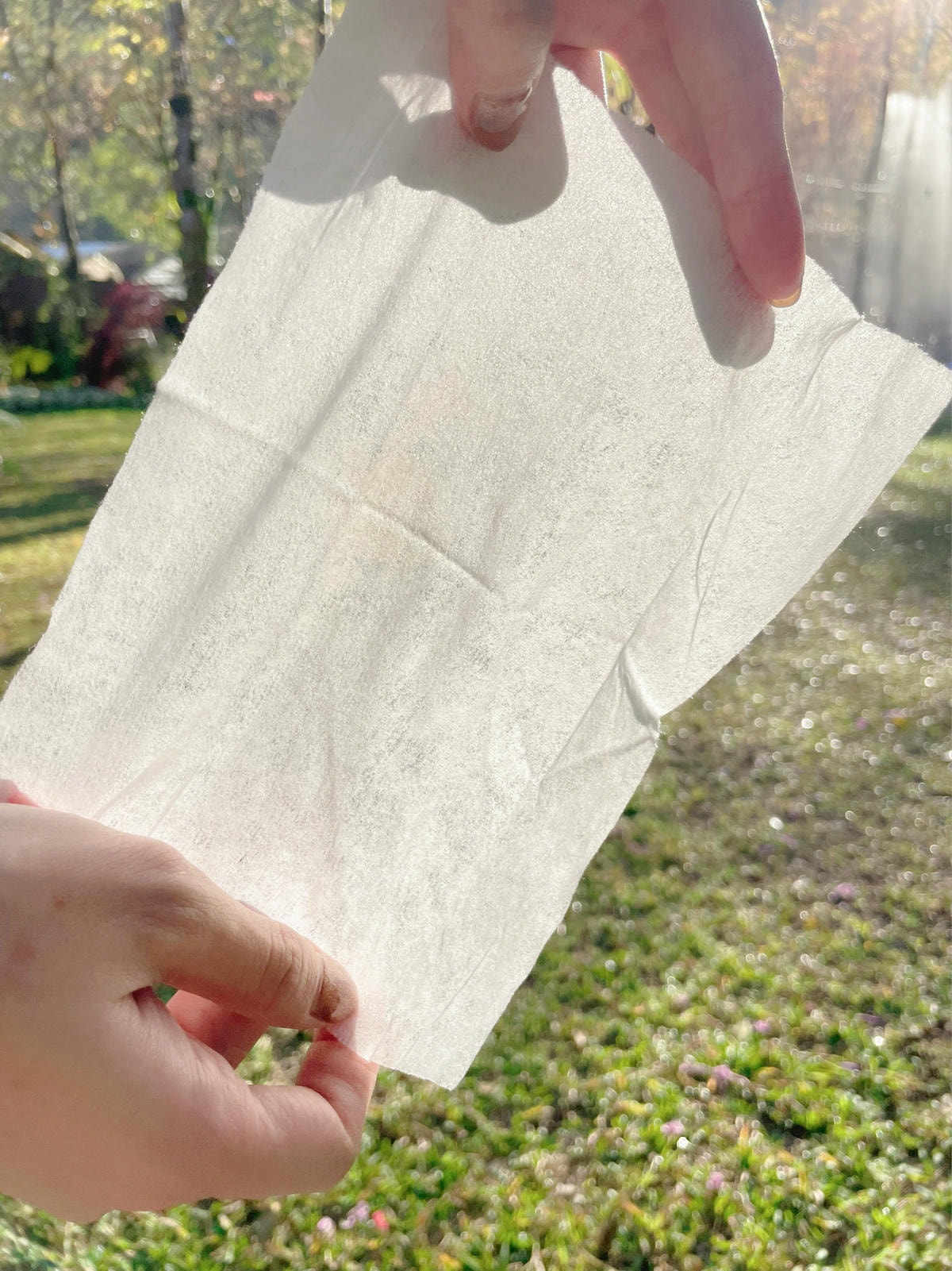 IMG_4026.JPG IMG_4026.JPG