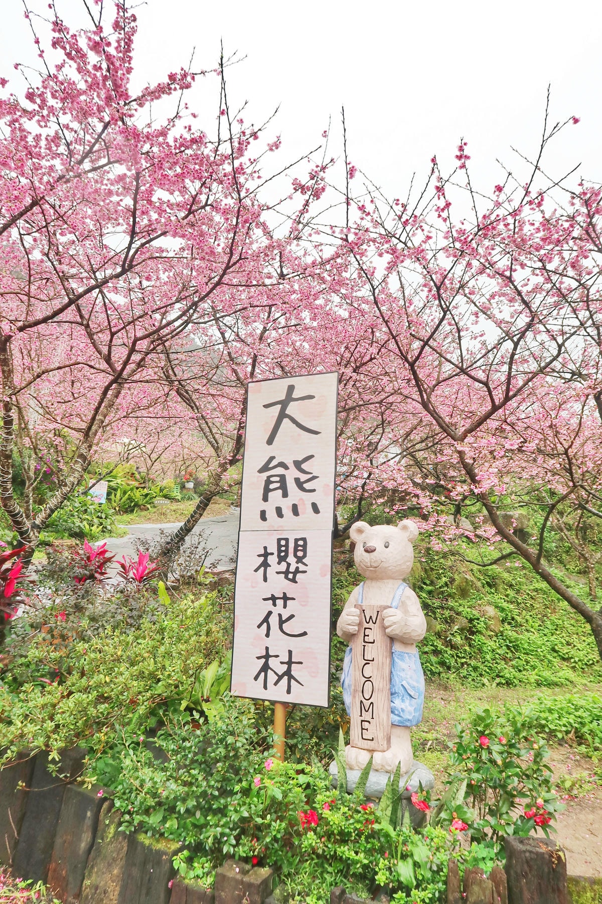 IMG_4125.jpg IMG_4125.jpg