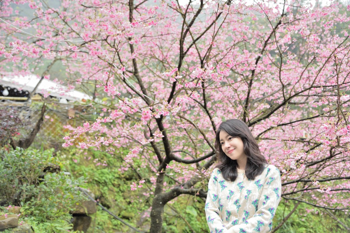 IMG_9696.JPG IMG_9696.JPG