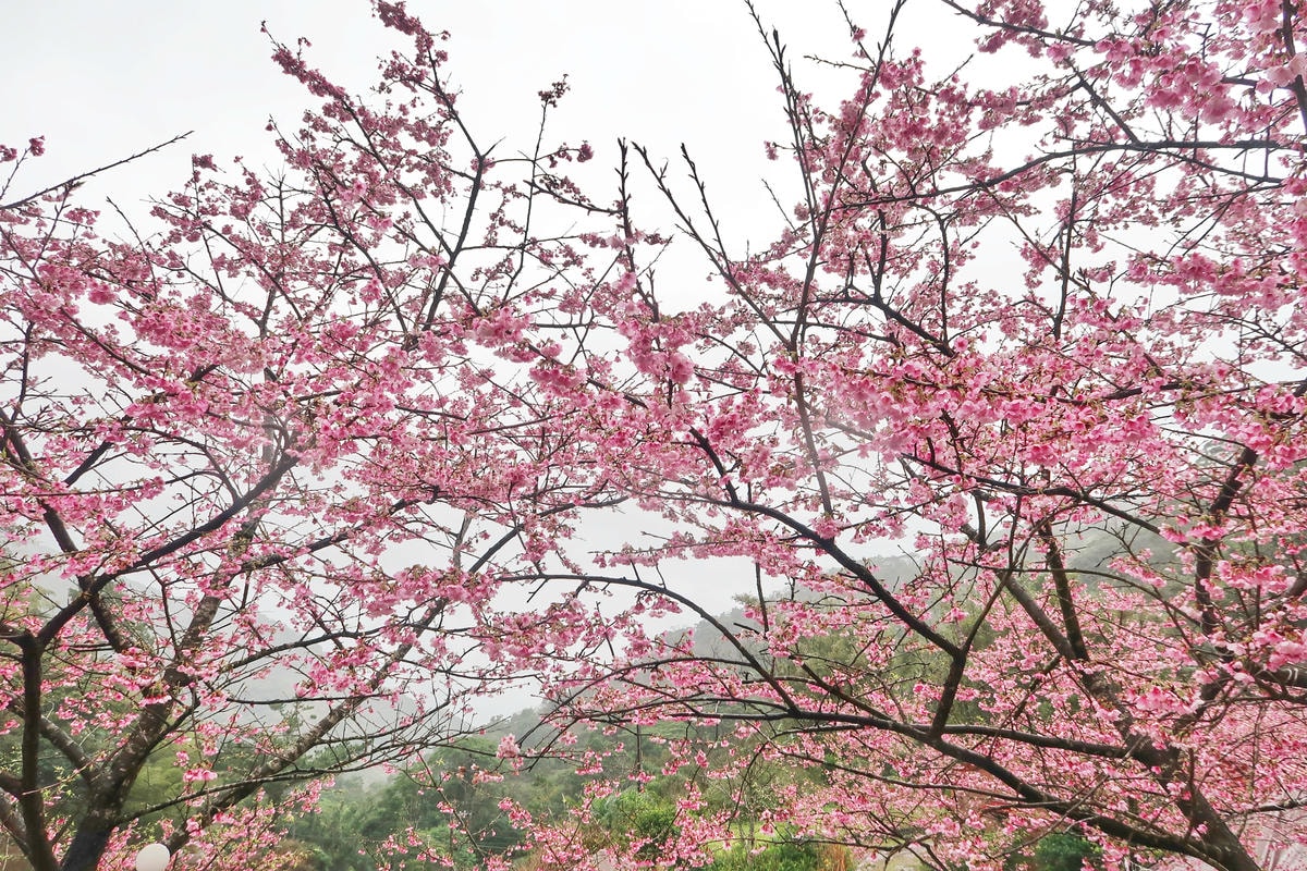 IMG_4117.jpg IMG_4117.jpg