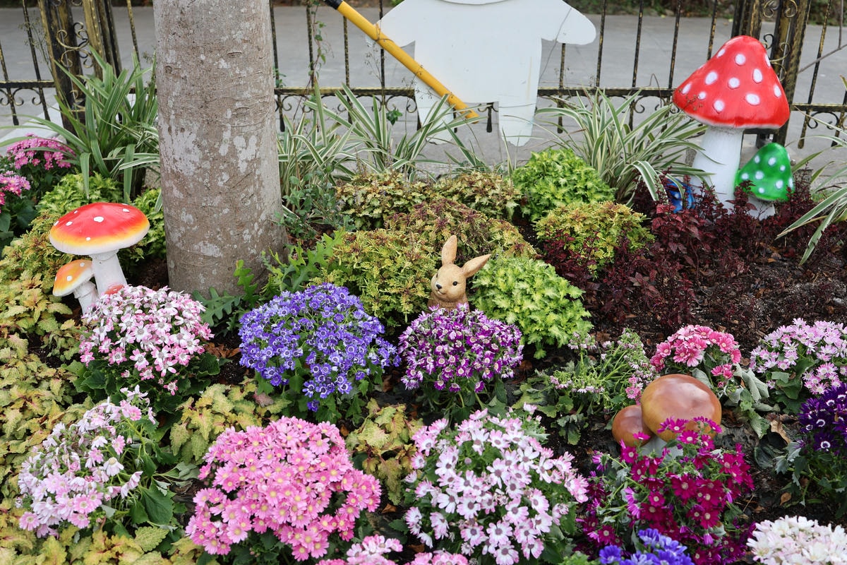 【台北景點】共融公園溜滑梯,2024全台最大玫瑰花園花展來囉 【台北景點】共融公園溜滑梯,2024全台最大玫瑰花園花展來囉