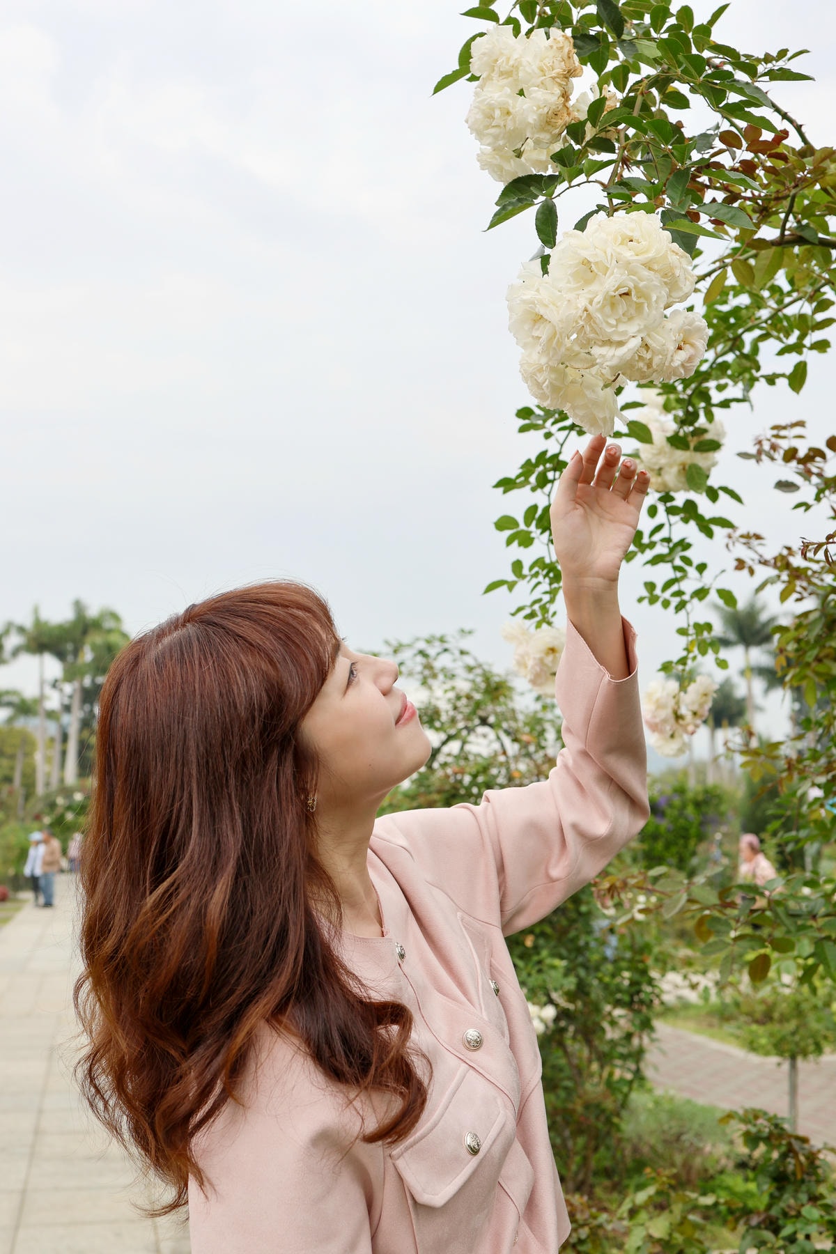 【台北景點】共融公園溜滑梯,2024全台最大玫瑰花園花展來囉 【台北景點】共融公園溜滑梯,2024全台最大玫瑰花園花展來囉