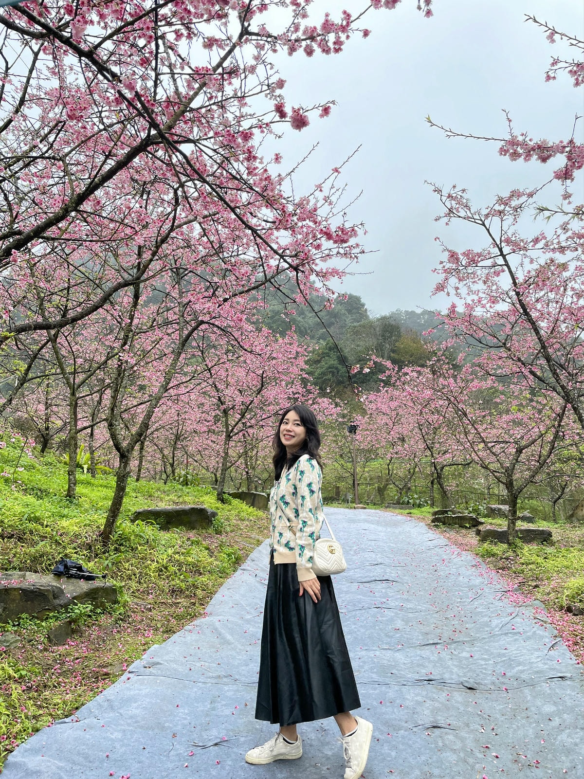 IMG_9608.JPG IMG_9608.JPG