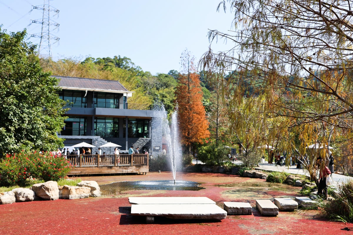 【新竹景點】距離市區20分鐘，都市森林『小森之歌』寵物友善，