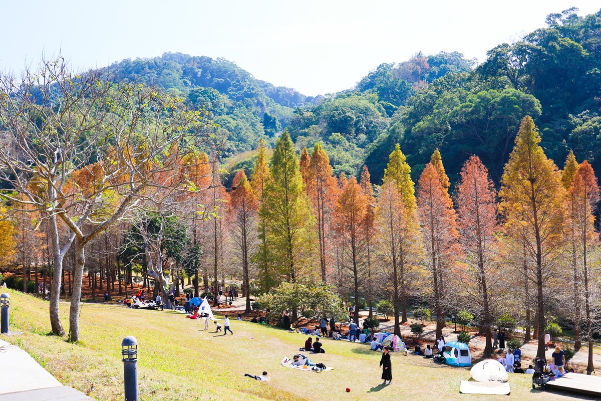 【新竹景點】距離市區20分鐘,都市森林『小森之歌』寵物友善, 【新竹景點】距離市區20分鐘,都市森林『小森之歌』寵物友善,