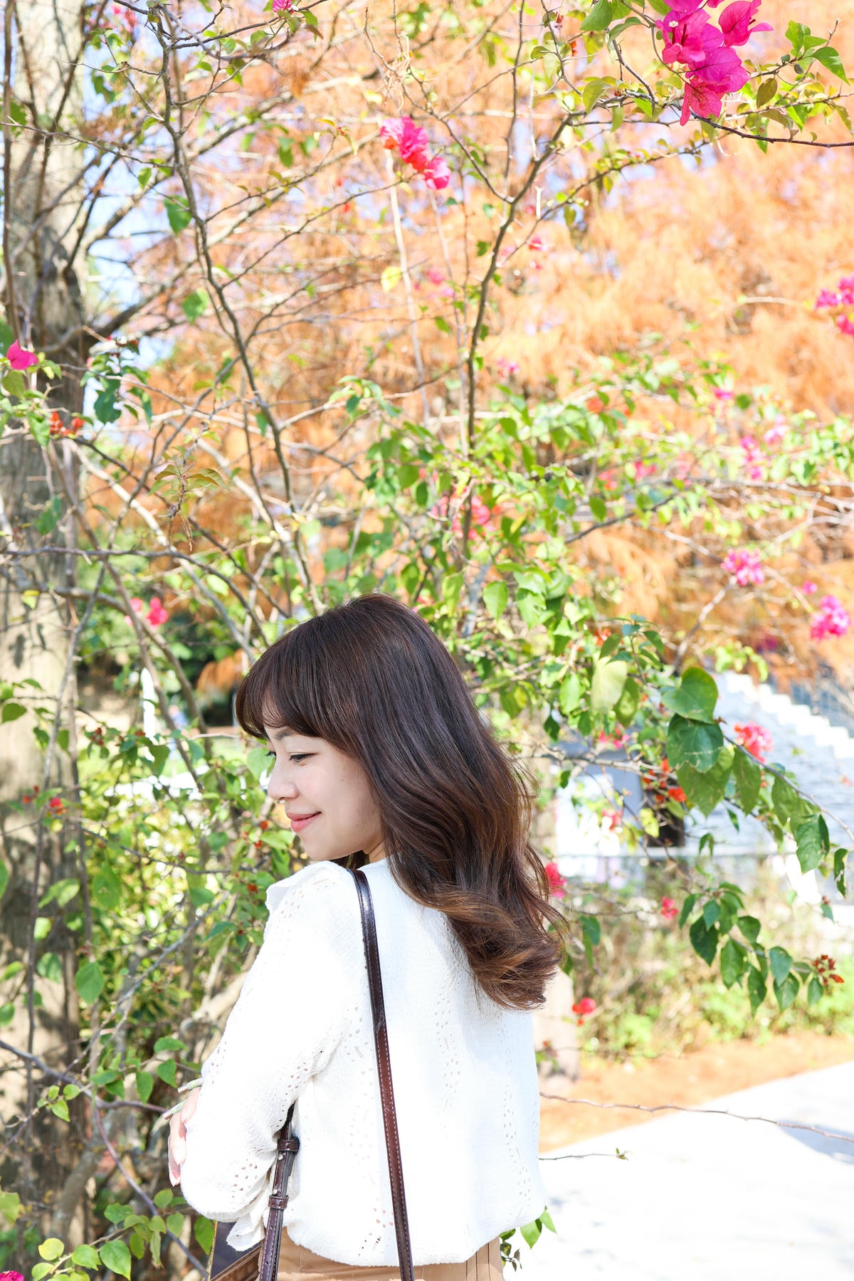 【新竹景點】距離市區20分鐘,都市森林『小森之歌』寵物友善, 【新竹景點】距離市區20分鐘,都市森林『小森之歌』寵物友善,