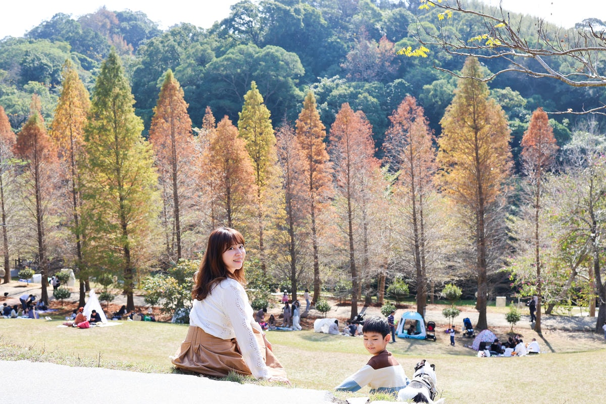 【新竹景點】距離市區20分鐘,都市森林『小森之歌』寵物友善, 【新竹景點】距離市區20分鐘,都市森林『小森之歌』寵物友善,