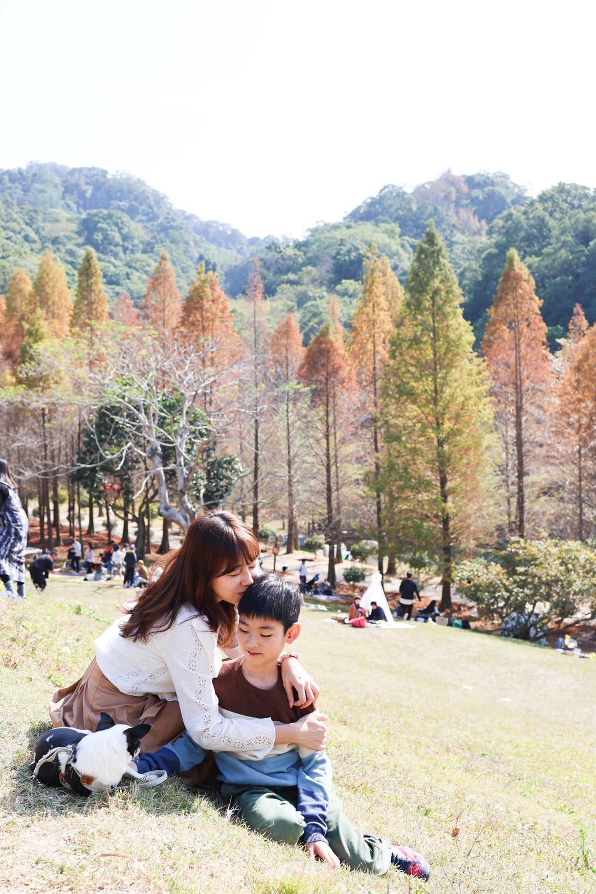 【新竹景點】距離市區20分鐘,都市森林『小森之歌』寵物友善, 【新竹景點】距離市區20分鐘,都市森林『小森之歌』寵物友善,