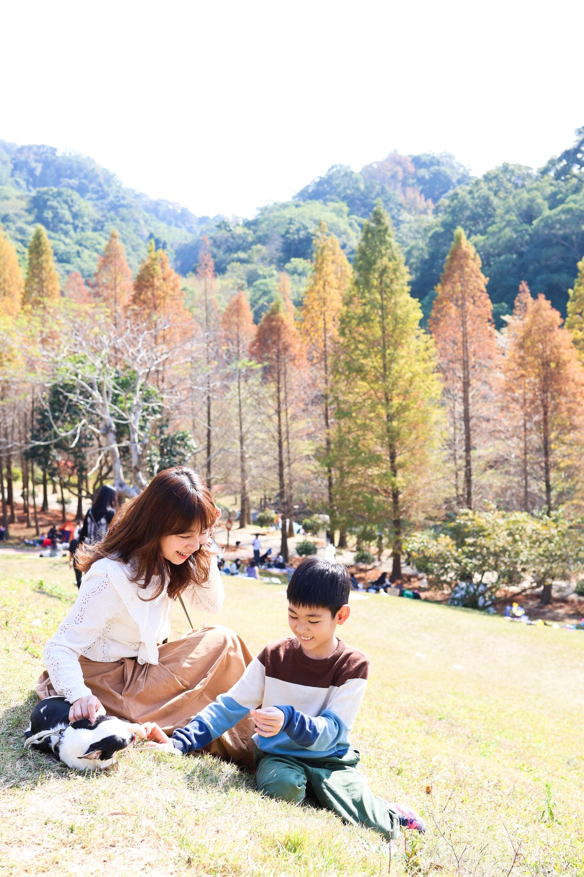 【新竹景點】距離市區20分鐘,都市森林『小森之歌』寵物友善, 【新竹景點】距離市區20分鐘,都市森林『小森之歌』寵物友善,