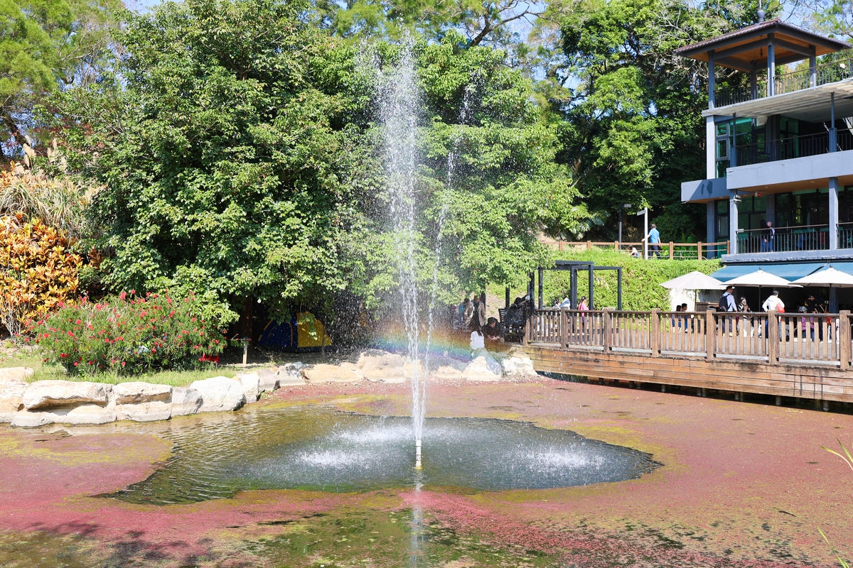 【新竹景點】距離市區20分鐘,都市森林『小森之歌』寵物友善, 【新竹景點】距離市區20分鐘,都市森林『小森之歌』寵物友善,