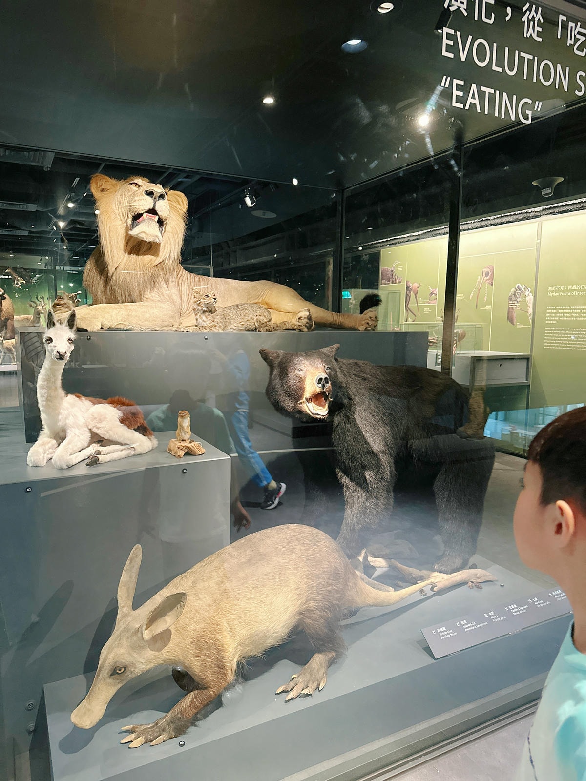 【台北景點】士林科教館『國立臺灣科學教育館』雨天備案,銅板價 【台北景點】士林科教館『國立臺灣科學教育館』雨天備案,銅板價