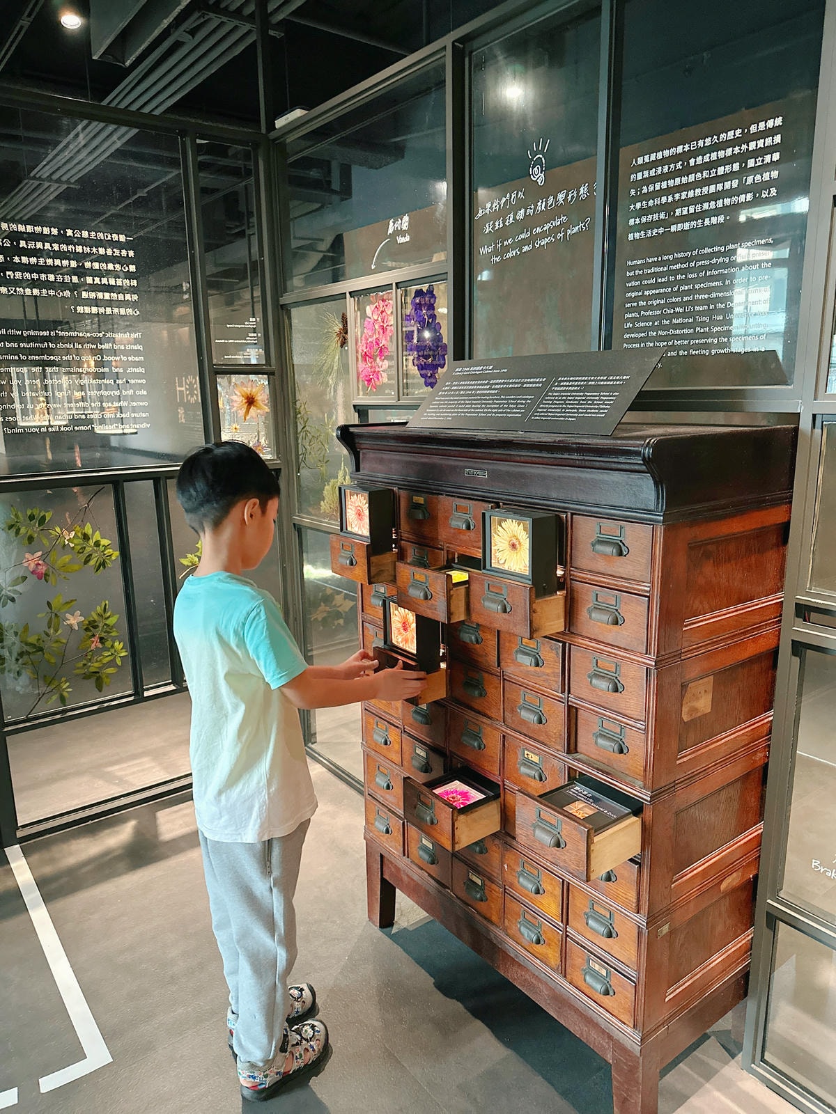 【台北景點】士林科教館『國立臺灣科學教育館』雨天備案,銅板價 【台北景點】士林科教館『國立臺灣科學教育館』雨天備案,銅板價