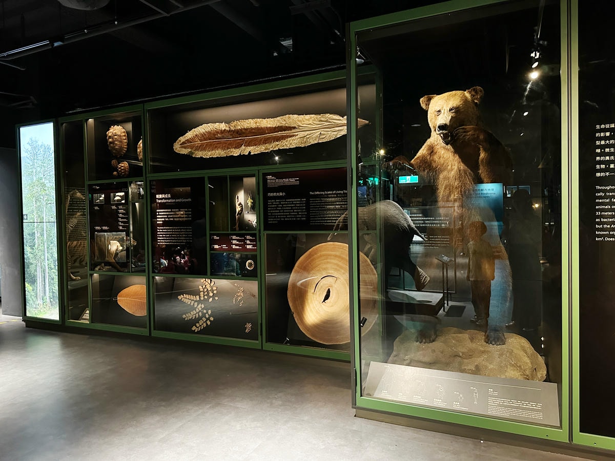 【台北景點】士林科教館『國立臺灣科學教育館』雨天備案,銅板價 【台北景點】士林科教館『國立臺灣科學教育館』雨天備案,銅板價