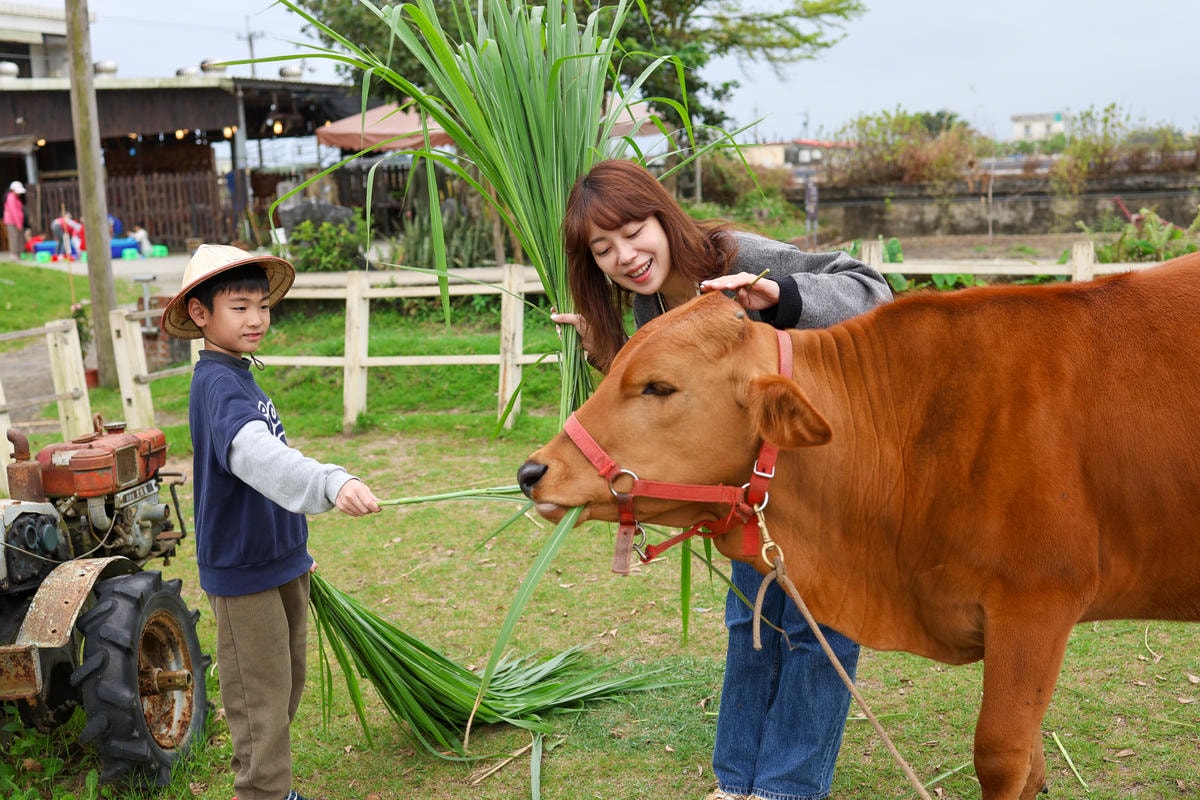 【宜蘭景點】壯圍鄉農家親子體驗,『牛頭司耕牛小學堂』 【宜蘭景點】壯圍鄉農家親子體驗,『牛頭司耕牛小學堂』