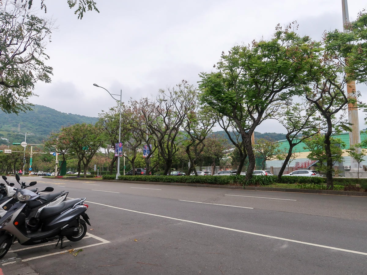 【美髮分享】天母 『VIF HAIR SALONE』夏季頭皮 【美髮分享】天母 『VIF HAIR SALONE』夏季頭皮