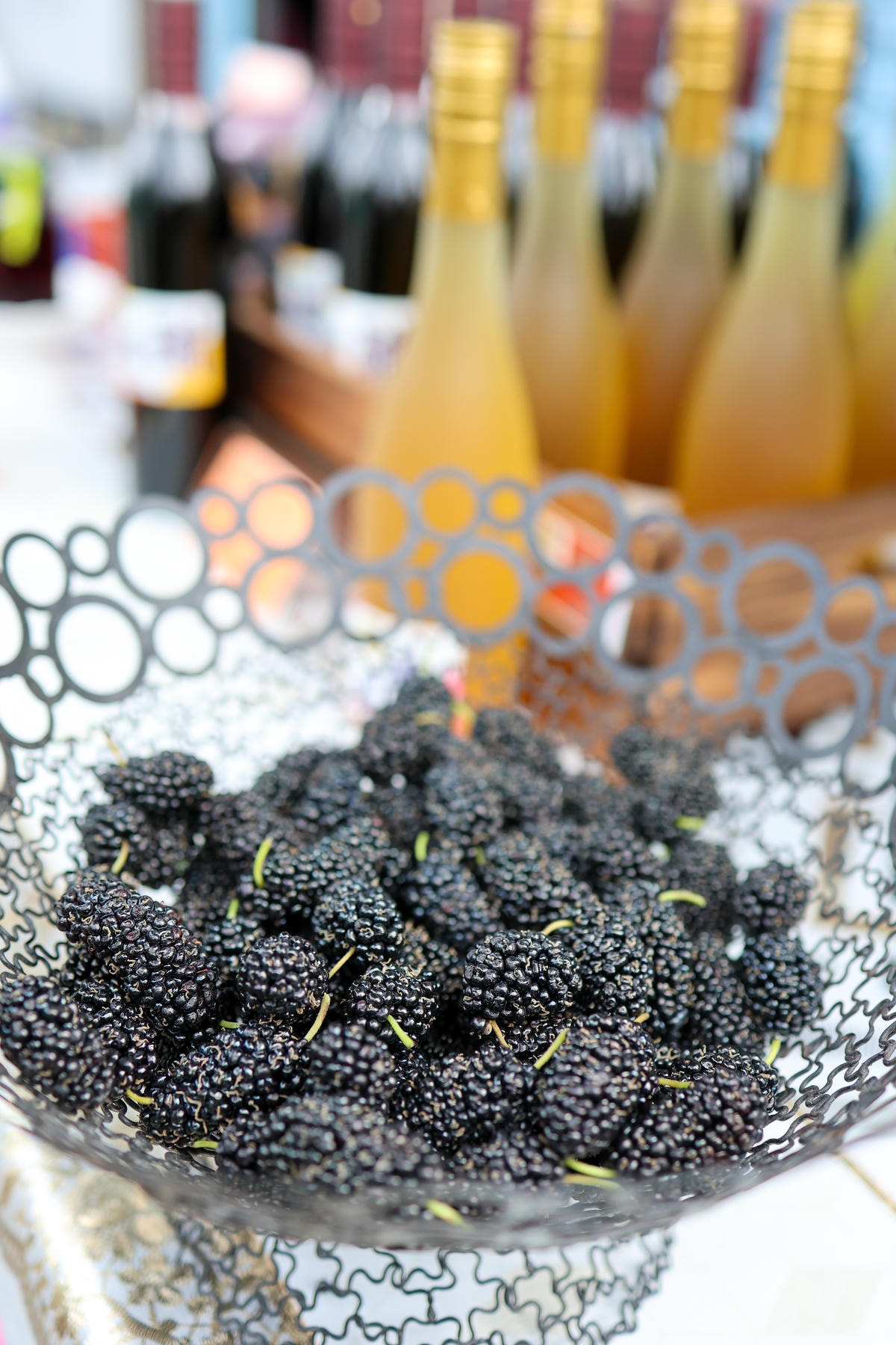 【宜蘭景點】一年一次！親子景點，宜蘭採桑葚『草地果園』