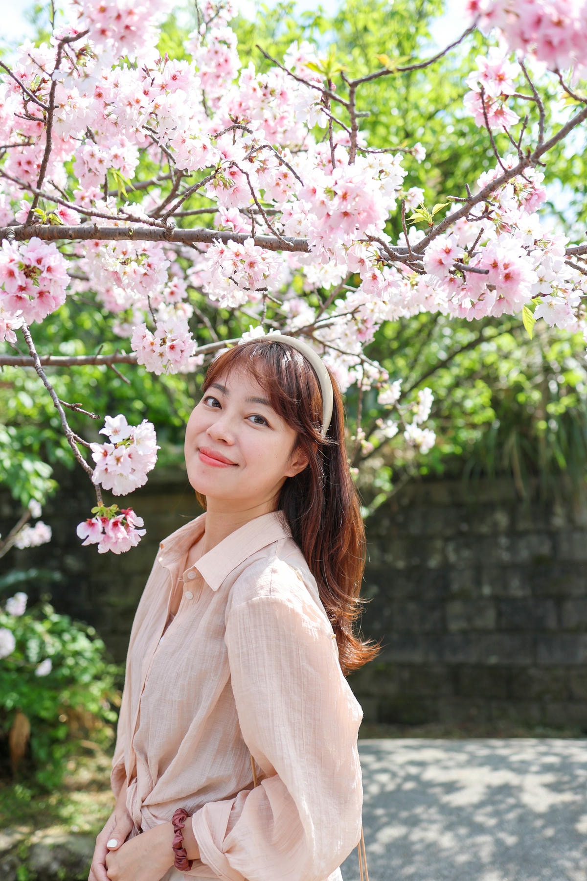 【台北景點】櫻花季尾聲!免費秘境,陽明山平等國小,內厝溪櫻木