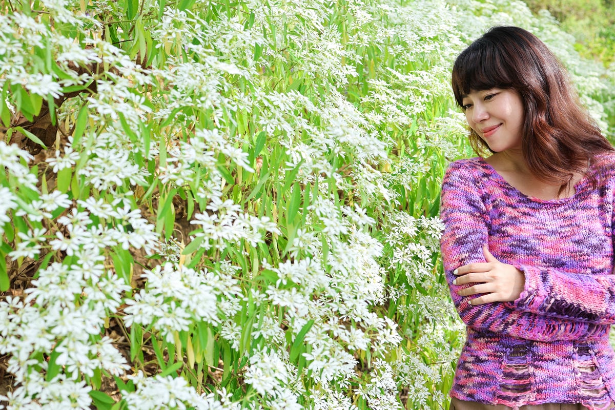 【苗栗景點】西湖景點,紫色花海!網美拍照景點『噢哈娜咖啡屋』 【苗栗景點】西湖景點,紫色花海!網美拍照景點『噢哈娜咖啡屋』