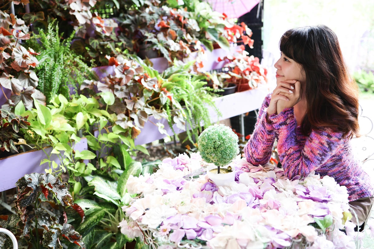 【苗栗景點】西湖景點,紫色花海!網美拍照景點『噢哈娜咖啡屋』 【苗栗景點】西湖景點,紫色花海!網美拍照景點『噢哈娜咖啡屋』