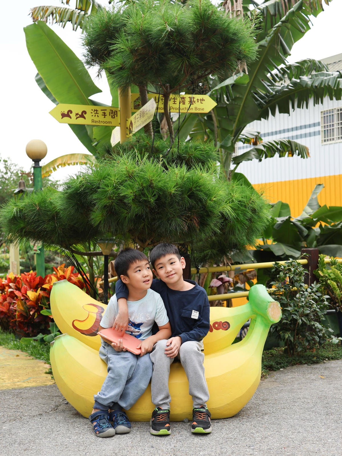 【南投景點】南投觀光農場，110多種稀有香蕉，球池、溜滑梯、