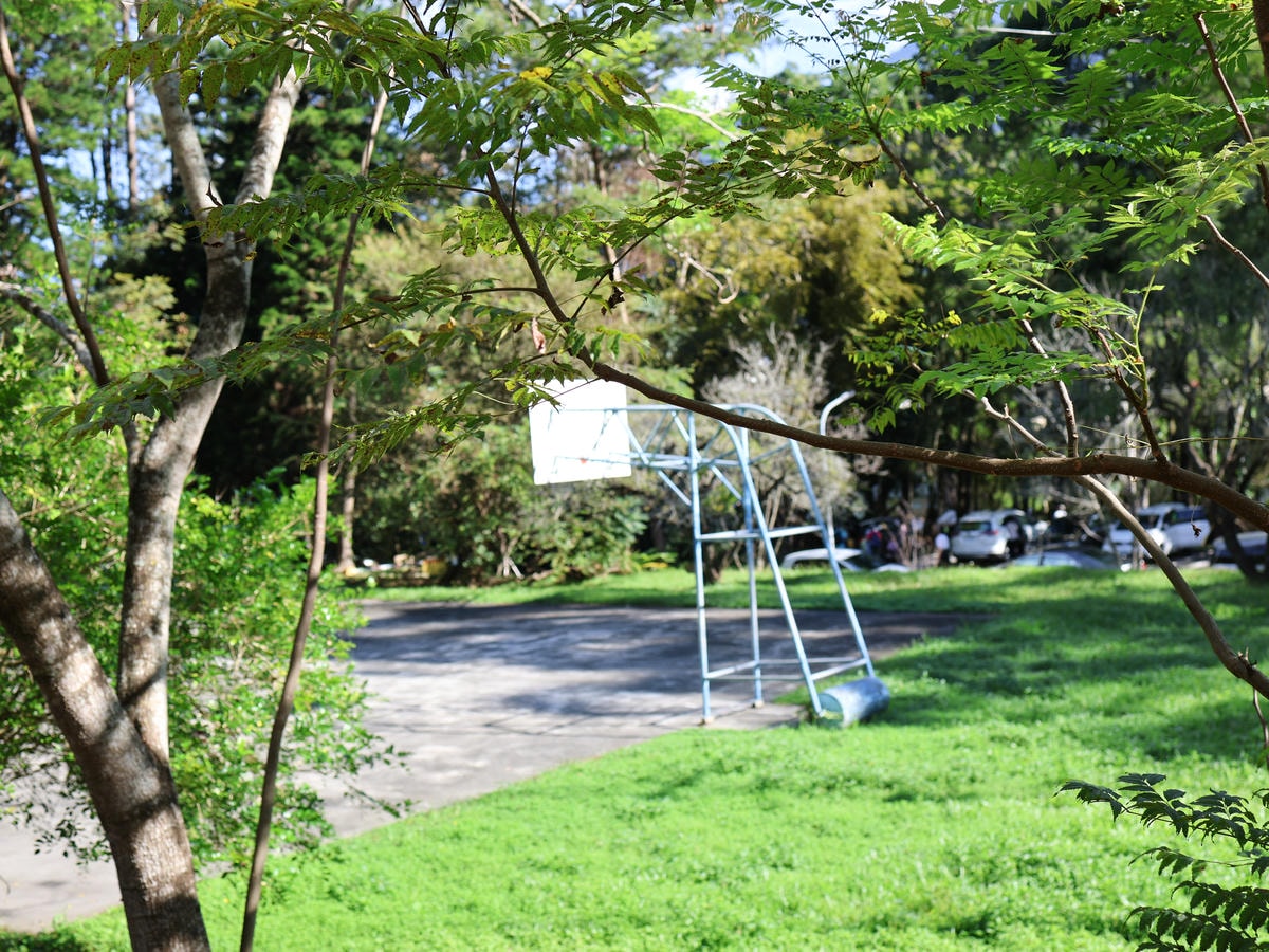 【南投住宿】來自森林的呼喊，親子旅遊遠離3C『和社山林』一泊