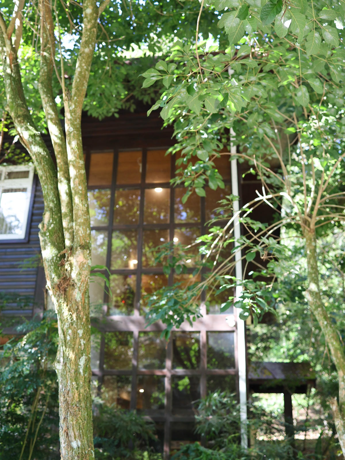 【南投住宿】來自森林的呼喊，親子旅遊遠離3C『和社山林』一泊