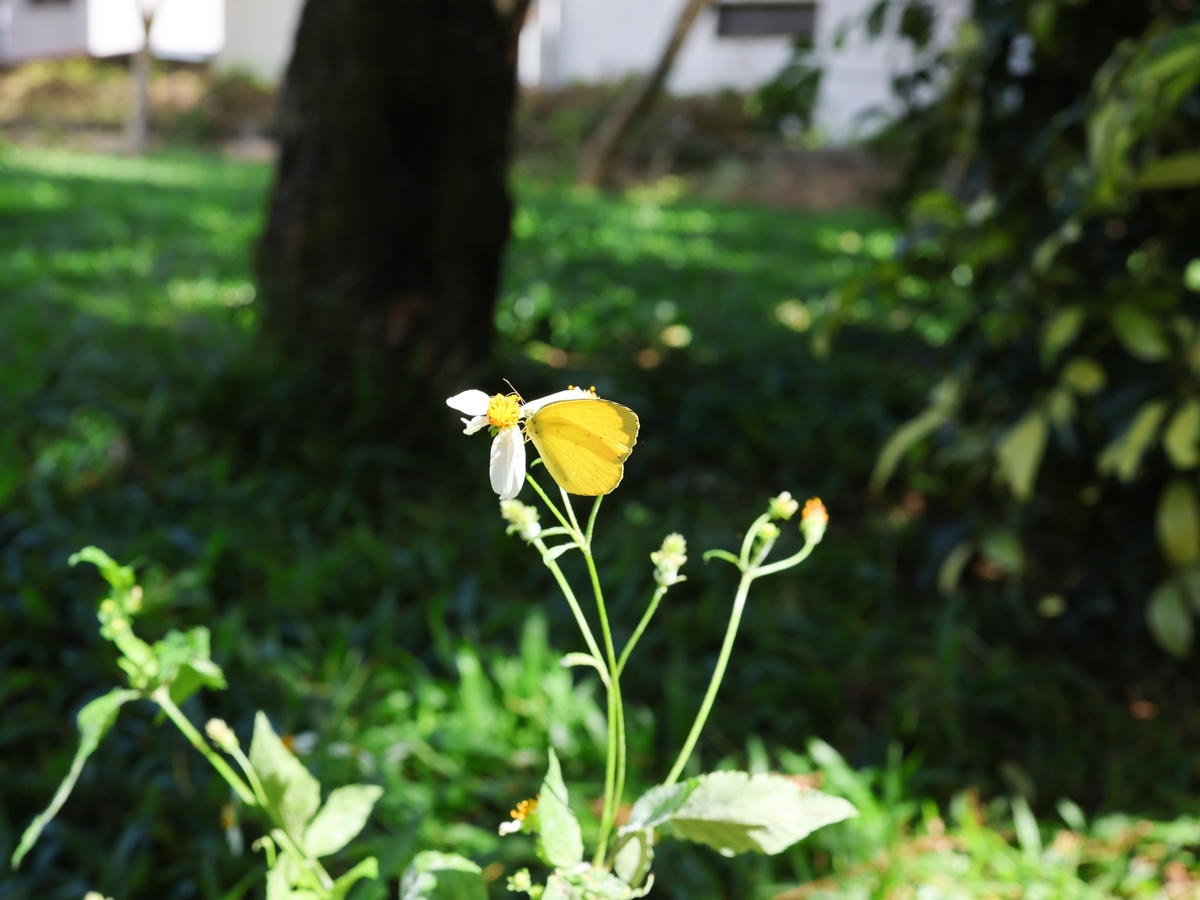 【南投住宿】來自森林的呼喊，親子旅遊遠離3C『和社山林』一泊