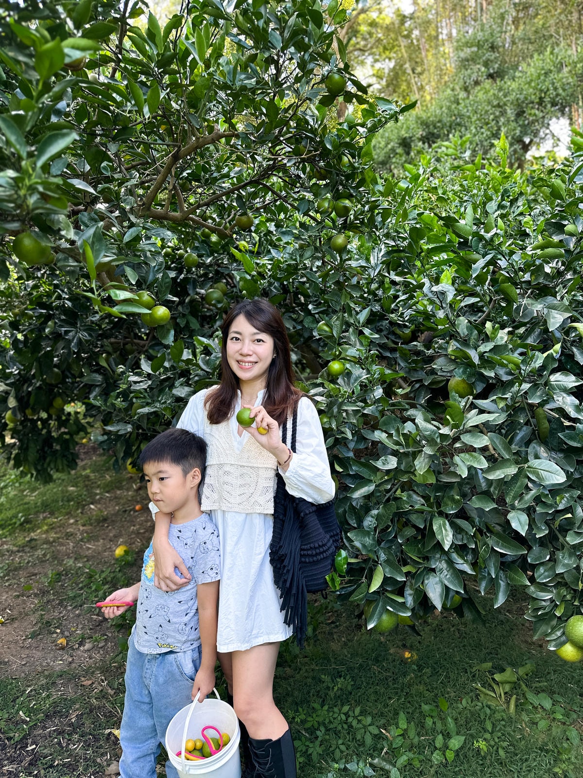 【新竹旅遊】秋天親子採橘子樂,最驚豔的是金桔!新埔縣「文興果