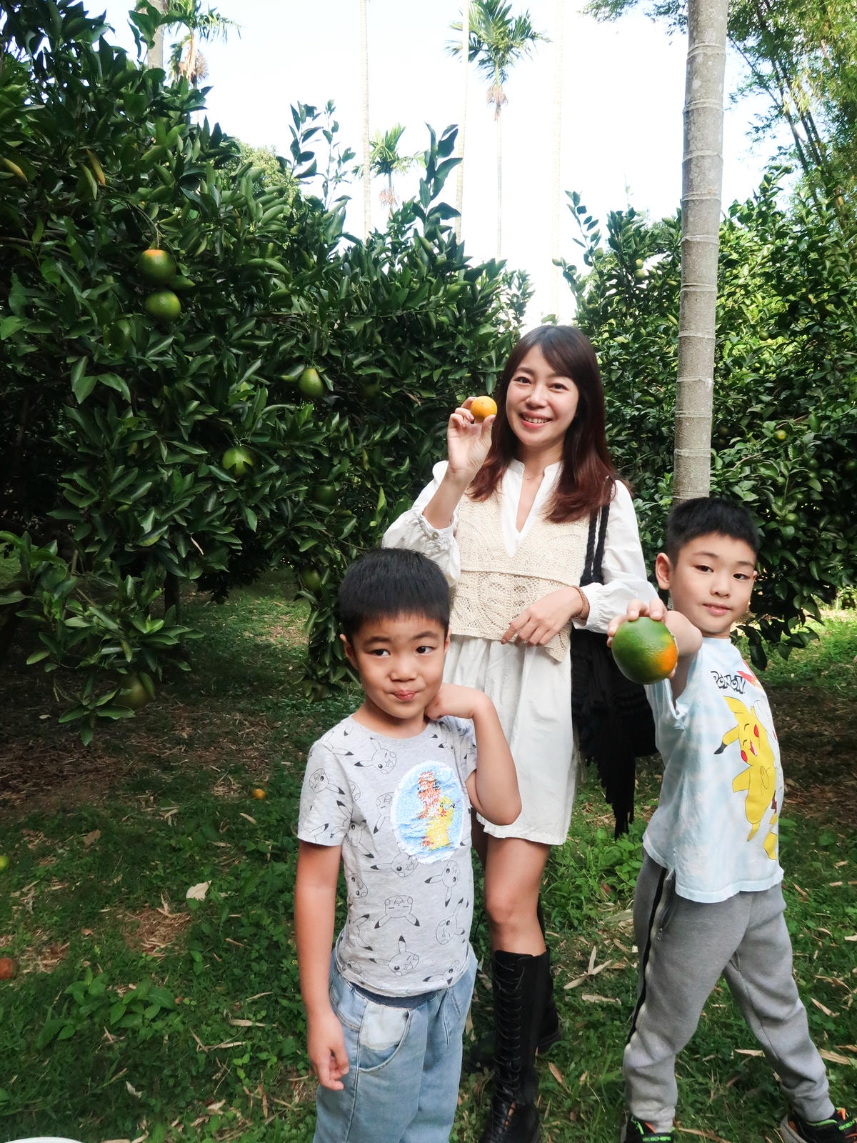 【新竹旅遊】秋天親子採橘子樂，最驚豔的是金桔！新埔縣「文興果