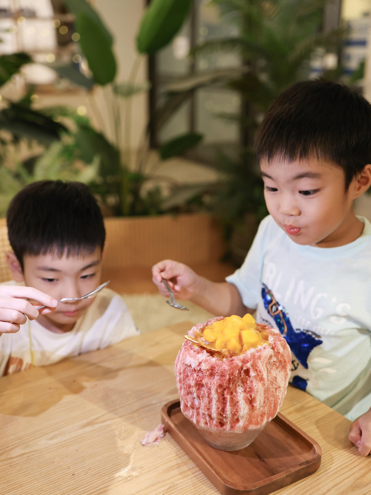 [親子住宿-台中]夕陽相伴豪華露營！全台唯一濕地露營，台中高