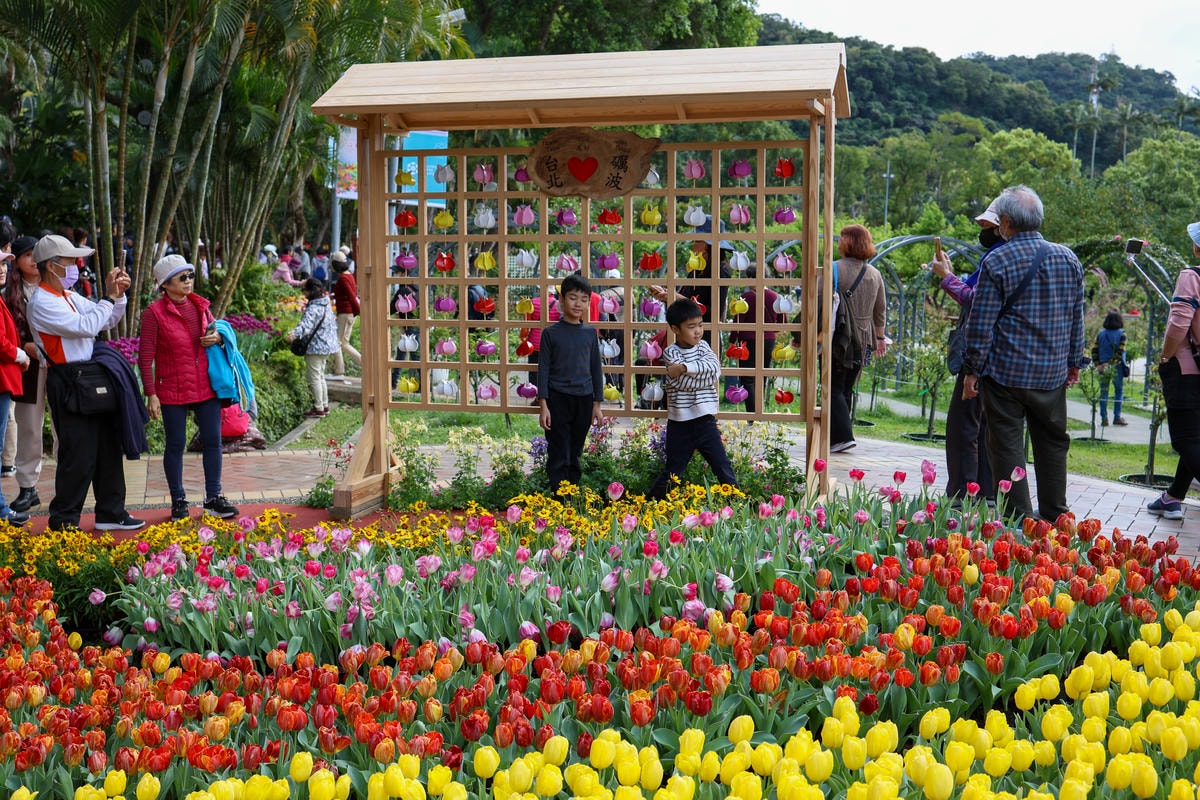 【台北景點】2024士林官邸鬱金香展,元宵節賞花和賞燈! 【台北景點】2024士林官邸鬱金香展,元宵節賞花和賞燈!