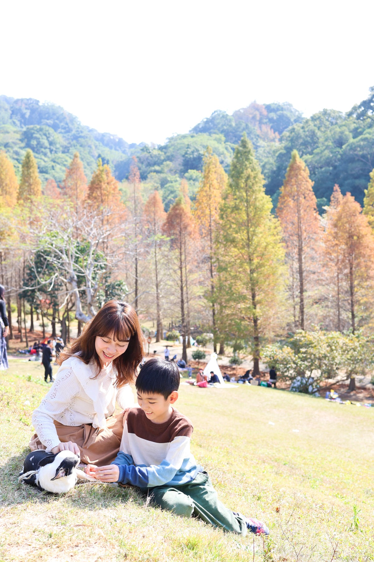 【新竹景點】距離市區20分鐘,都市森林『小森之歌』寵物友善, 【新竹景點】距離市區20分鐘,都市森林『小森之歌』寵物友善,