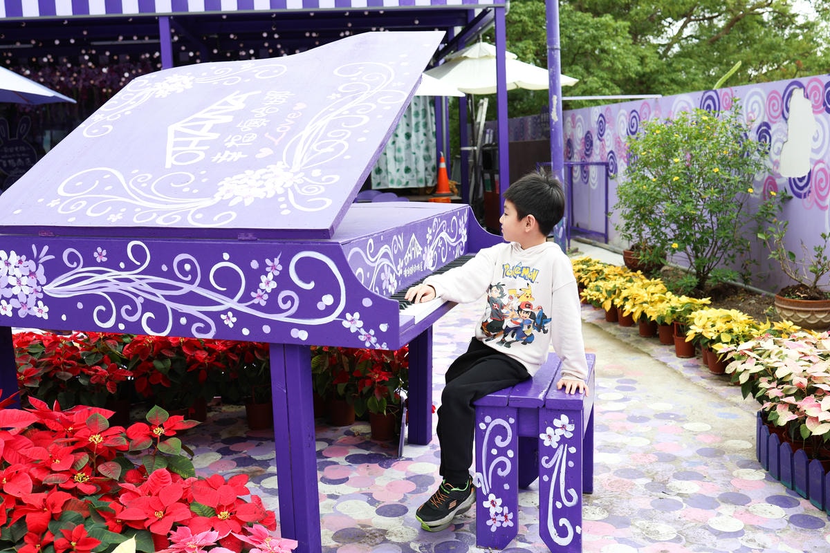 【苗栗景點】西湖景點,紫色花海!網美拍照景點『噢哈娜咖啡屋』 【苗栗景點】西湖景點,紫色花海!網美拍照景點『噢哈娜咖啡屋』