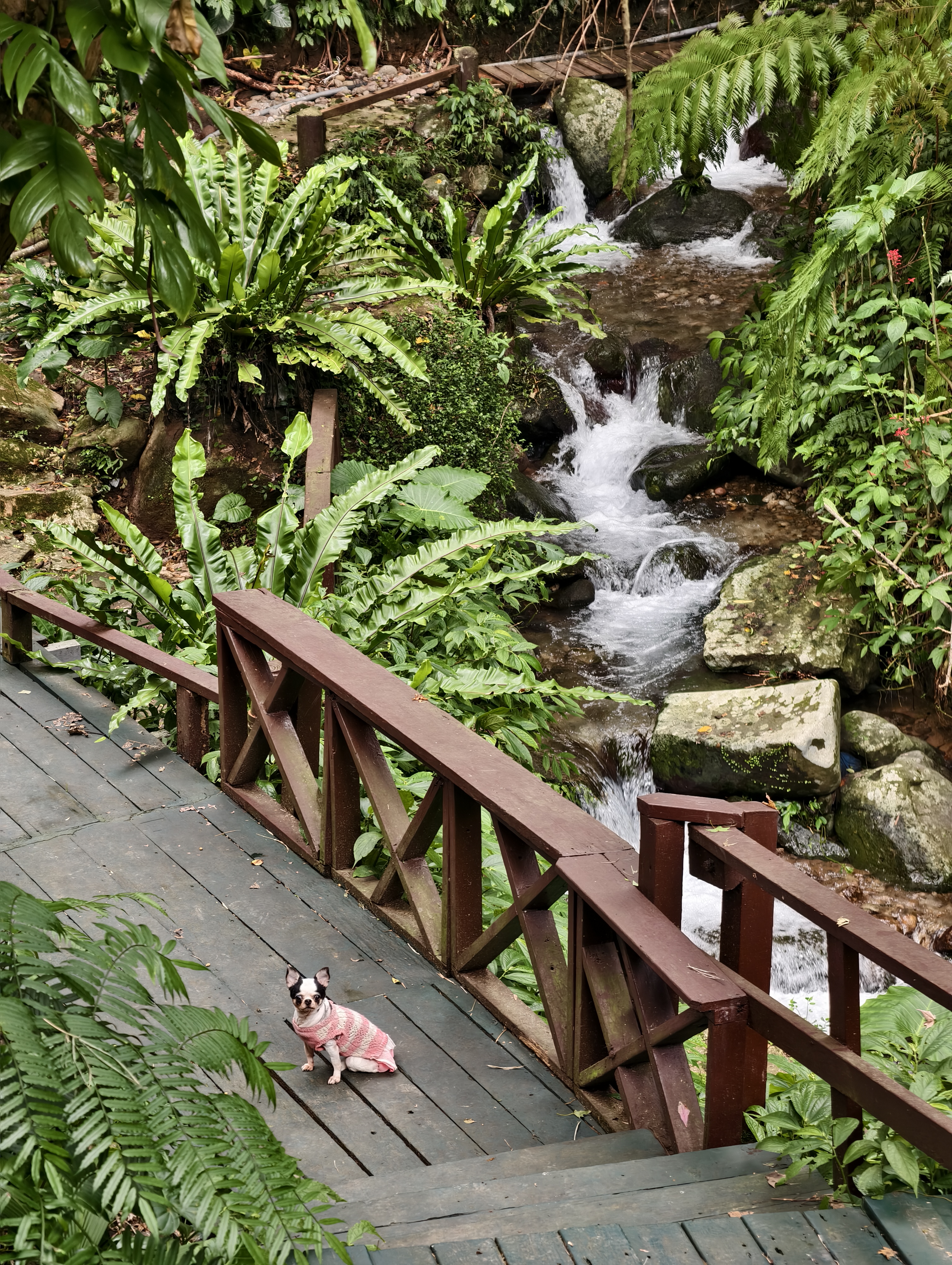 【台北士林景點】荷鋤茗園休閒農園|陽明山下的都市秘境,一日親子放電、烤肉土窯(需預約) - 第3張圖 【台北士林景點】荷鋤茗園休閒農園|陽明山下的都市秘境,一日親子放電、烤肉土窯(需預約)