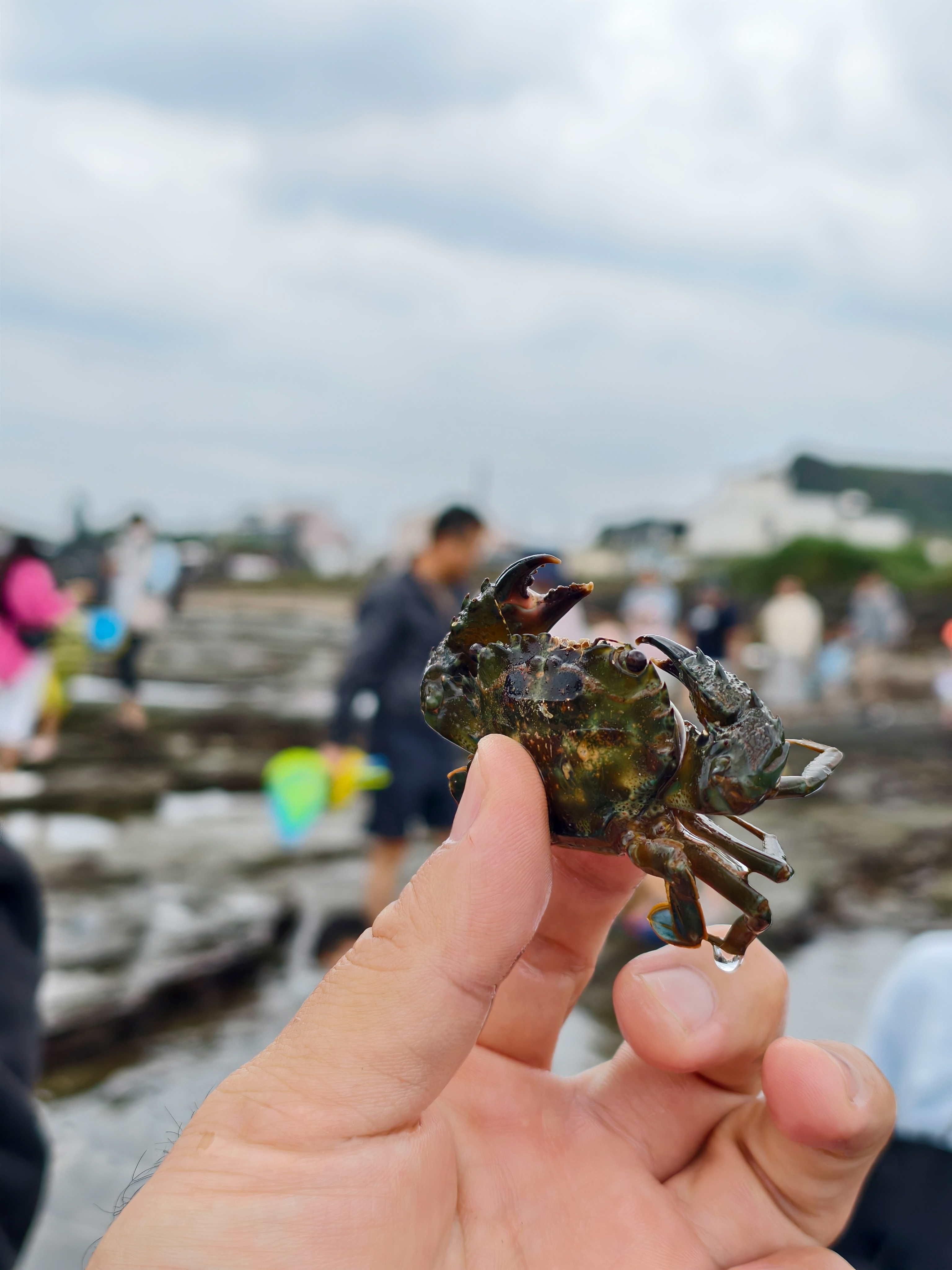 【馬崗漁村親子體驗】跟著海女阿嬤下海!貢寮最東邊的潮間帶生態冒險 - 第6張圖 【馬崗漁村親子體驗】跟著海女阿嬤下海!貢寮最東邊的潮間帶生態冒險