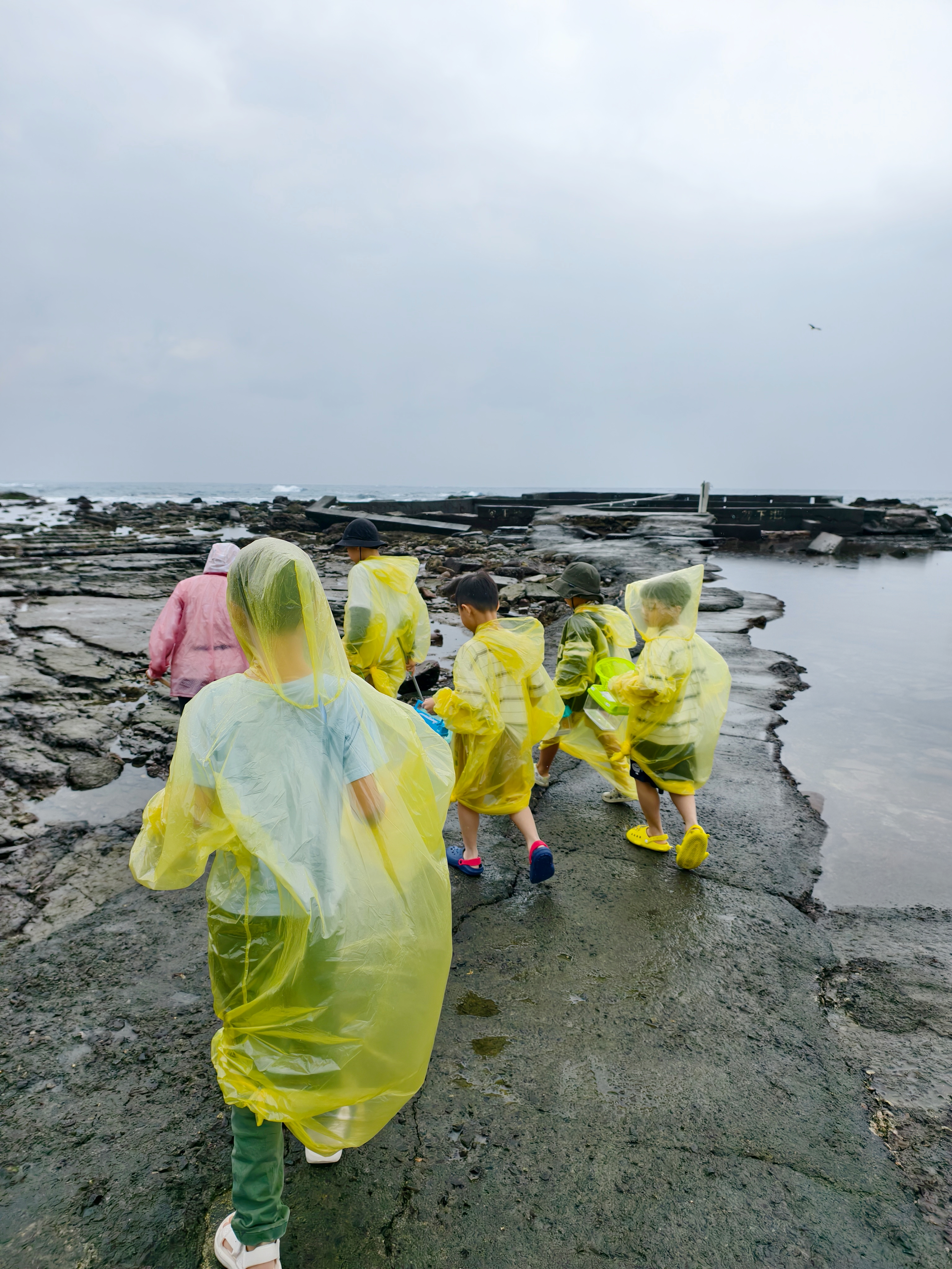 【馬崗漁村親子體驗】跟著海女阿嬤下海!貢寮最東邊的潮間帶生態冒險 - 第5張圖 【馬崗漁村親子體驗】跟著海女阿嬤下海!貢寮最東邊的潮間帶生態冒險