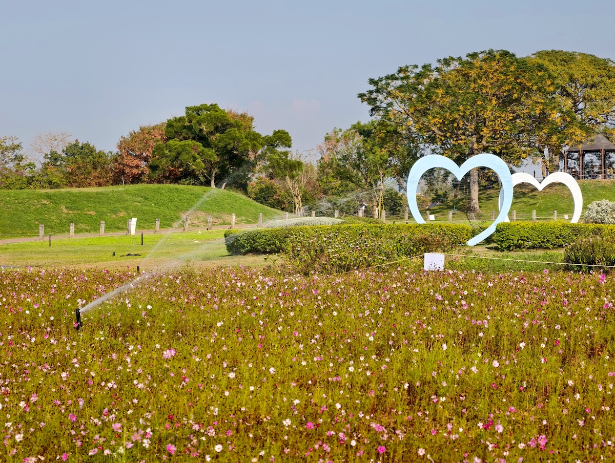 【台中后里環保公園|親子景點攻略】落羽松、巨大火箭攀爬塔、迷你交通場一次玩!台中最新『孩籽世界共融遊戲場』超強放電指南 - 第3張圖 【台中后里環保公園|親子景點攻略】落羽松、巨大火箭攀爬塔、迷你交通場一次玩!台中最新『孩籽世界共融遊戲場』超強放電指南