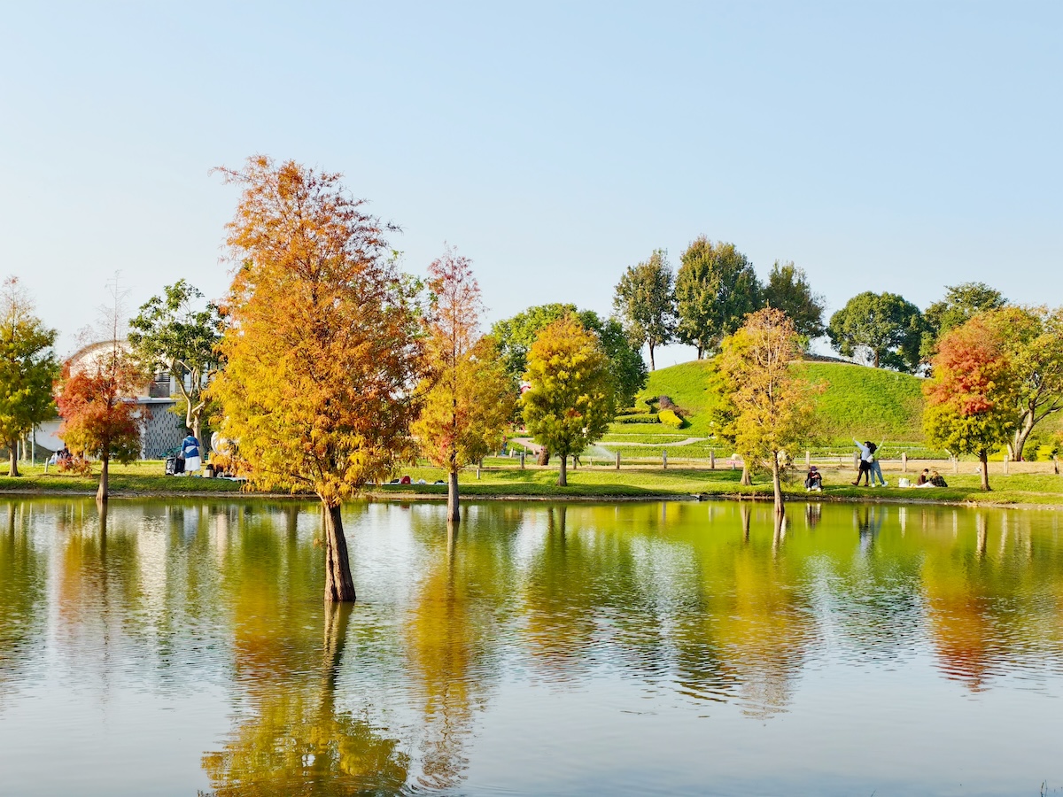 【台中后里環保公園|親子景點攻略】落羽松、巨大火箭攀爬塔、迷你交通場一次玩!台中最新『孩籽世界共融遊戲場』超強放電指南 - 第2張圖 【台中后里環保公園|親子景點攻略】落羽松、巨大火箭攀爬塔、迷你交通場一次玩!台中最新『孩籽世界共融遊戲場』超強放電指南