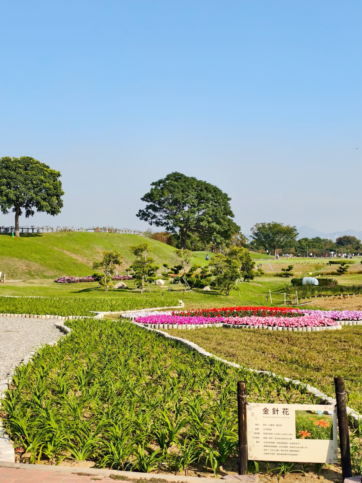 【台中后里環保公園|親子景點攻略】落羽松、巨大火箭攀爬塔、迷你交通場一次玩!台中最新『孩籽世界共融遊戲場』超強放電指南 - 第4張圖 【台中后里環保公園|親子景點攻略】落羽松、巨大火箭攀爬塔、迷你交通場一次玩!台中最新『孩籽世界共融遊戲場』超強放電指南