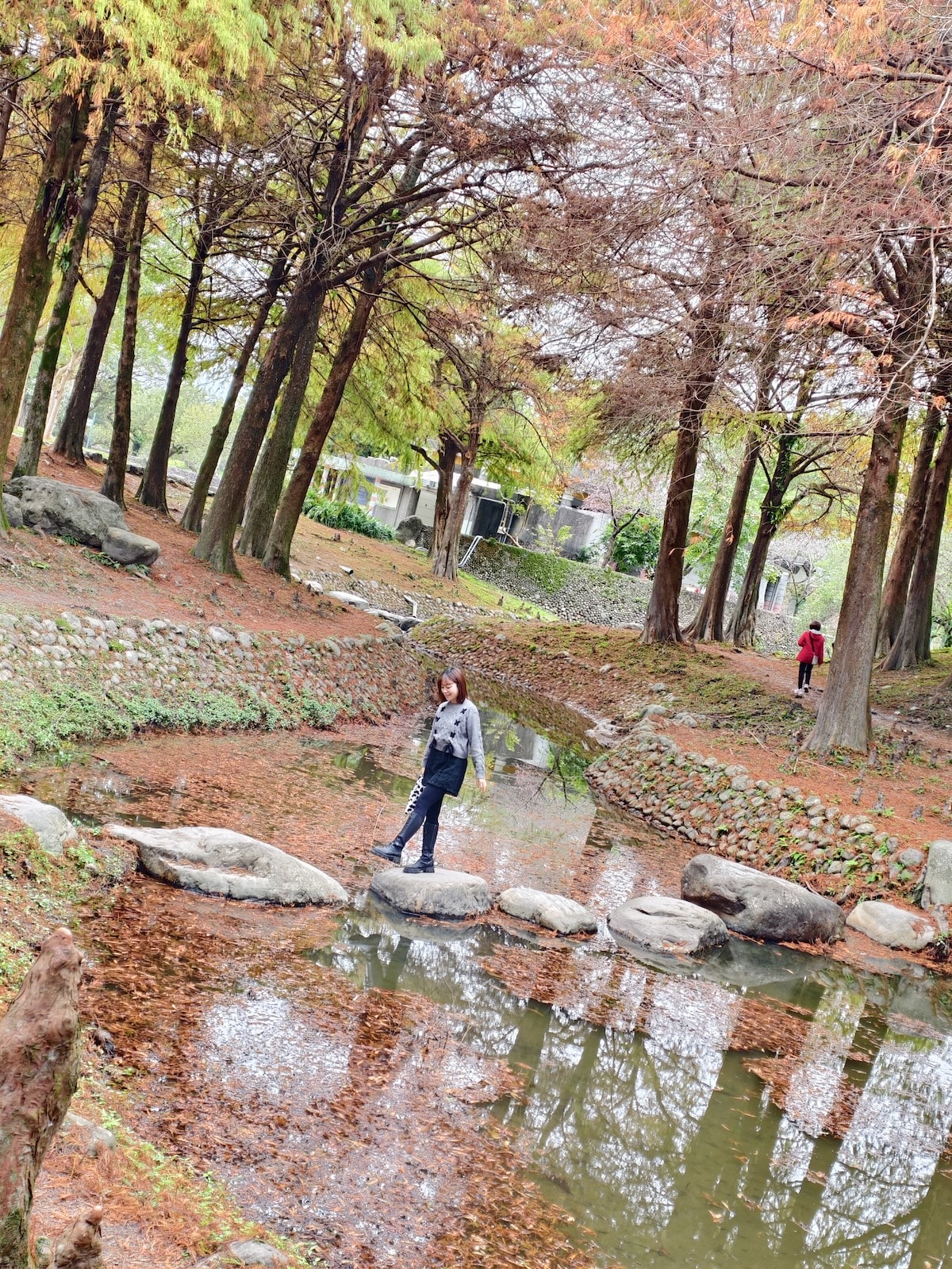 【宜蘭景點】羅東運動公園落羽松，彷彿走進歐洲森林！好停車，親子踏青好去處