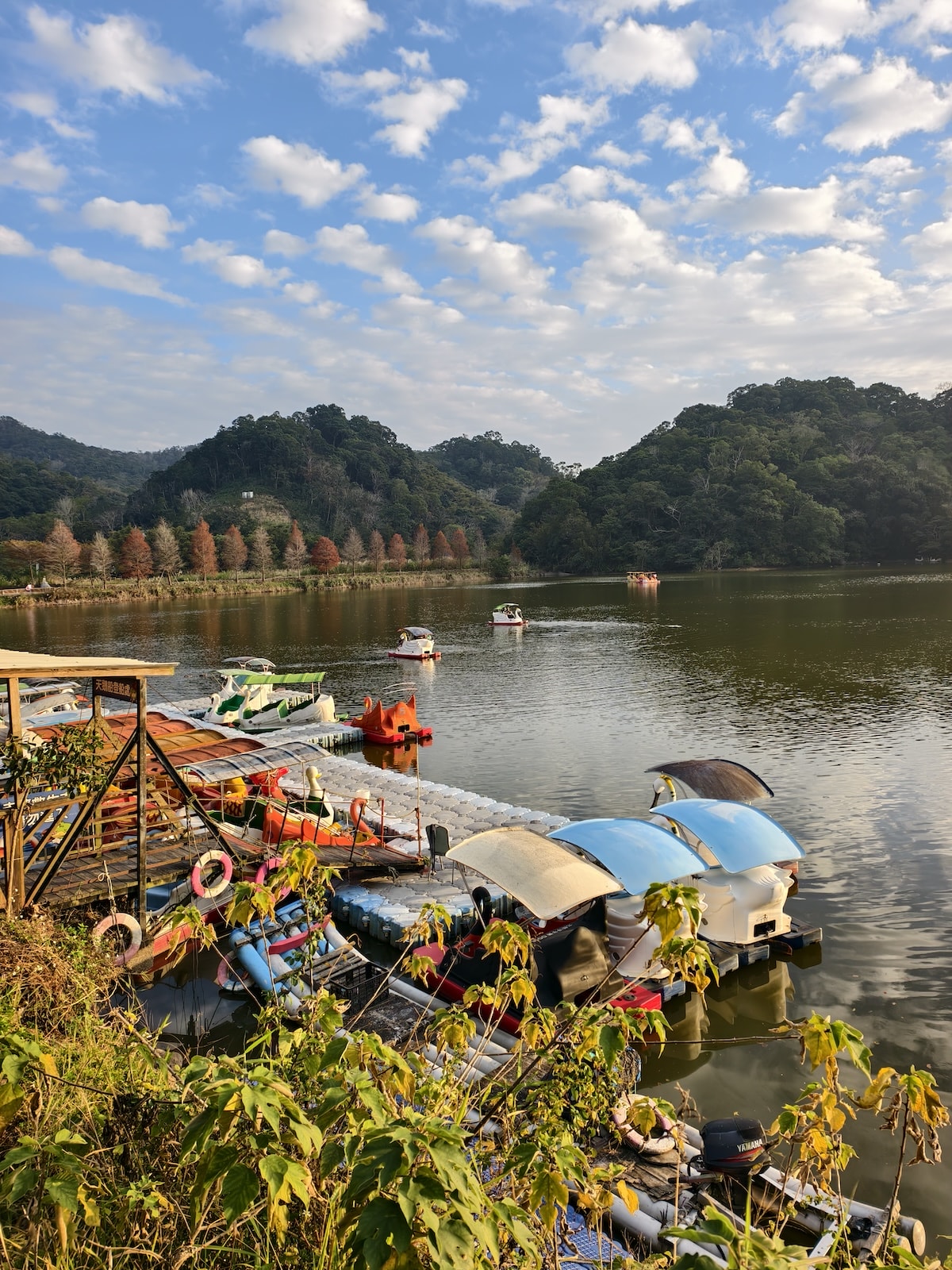 帶孩子闖進恐龍世界!西湖渡假村:1:1 模擬恐龍、泡泡樂園、特技表演,必搶一泊三食住宿優惠 - 第20張圖 帶孩子闖進恐龍世界!西湖渡假村:1:1 模擬恐龍、泡泡樂園、特技表演,必搶一泊三食住宿優惠