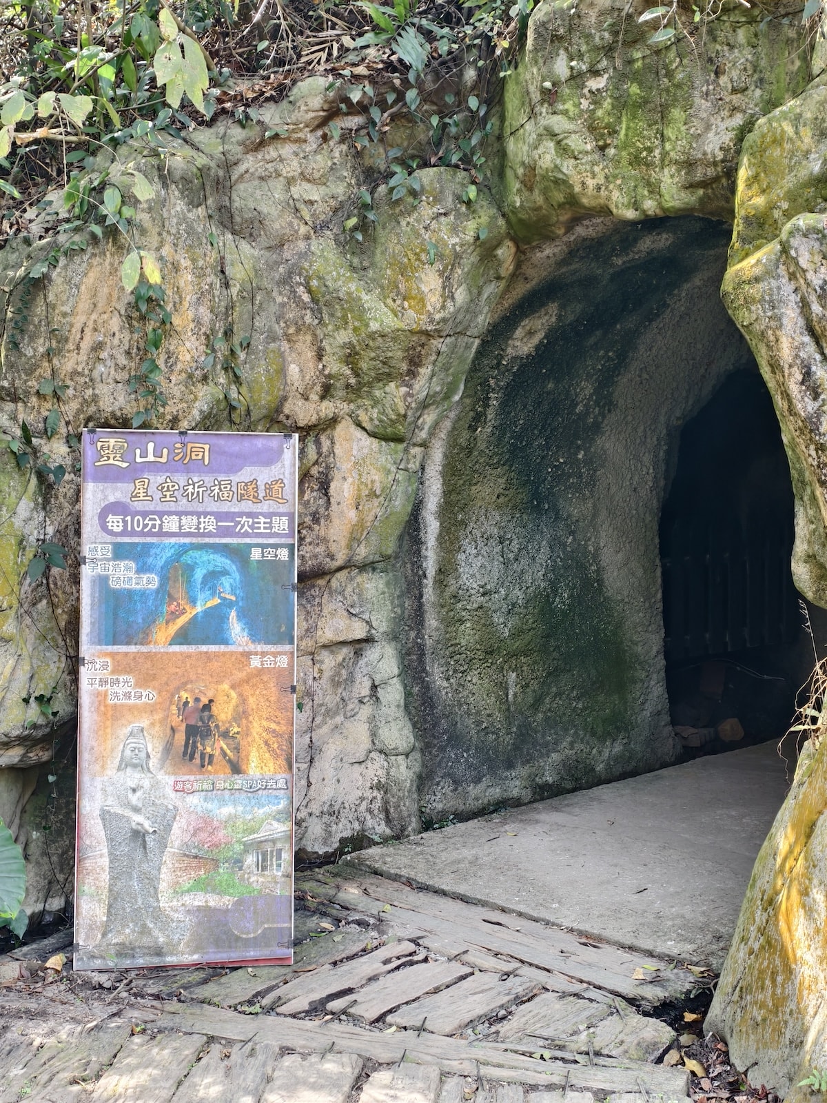 帶孩子闖進恐龍世界!西湖渡假村:1:1 模擬恐龍、泡泡樂園、特技表演,必搶一泊三食住宿優惠 - 第16張圖 帶孩子闖進恐龍世界!西湖渡假村:1:1 模擬恐龍、泡泡樂園、特技表演,必搶一泊三食住宿優惠