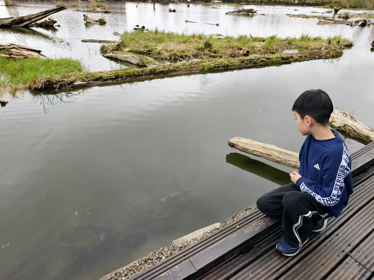 【宜蘭親子景點】羅東林場Kids 扣屋:免門票木育天堂!雨天備案首選,在檜木香氣裡玩遍羅東林業文化園區 - 第7張圖 【宜蘭親子景點】羅東林場Kids 扣屋:免門票木育天堂!雨天備案首選,在檜木香氣裡玩遍羅東林業文化園區