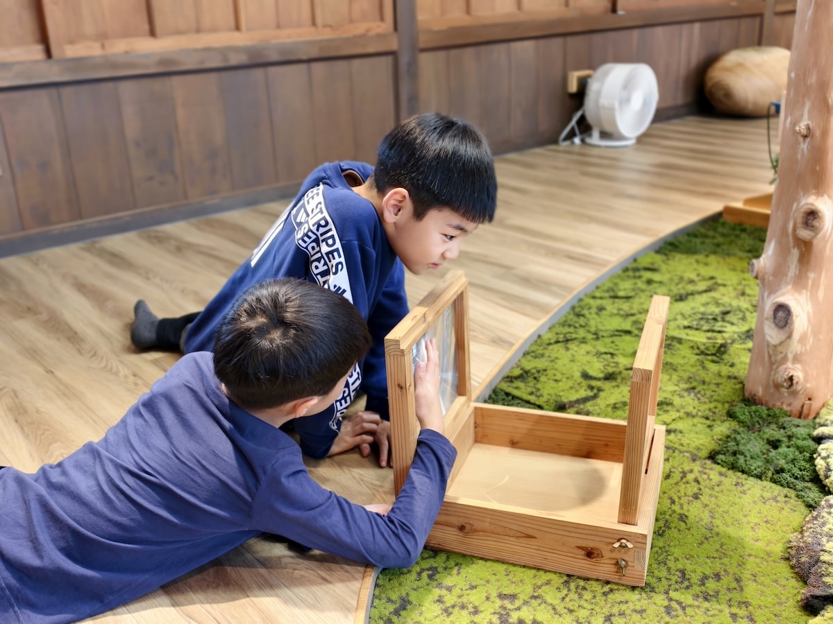 【宜蘭親子景點】羅東林場Kids 扣屋:免門票木育天堂!雨天備案首選,在檜木香氣裡玩遍羅東林業文化園區 - 第18張圖 【宜蘭親子景點】羅東林場Kids 扣屋:免門票木育天堂!雨天備案首選,在檜木香氣裡玩遍羅東林業文化園區