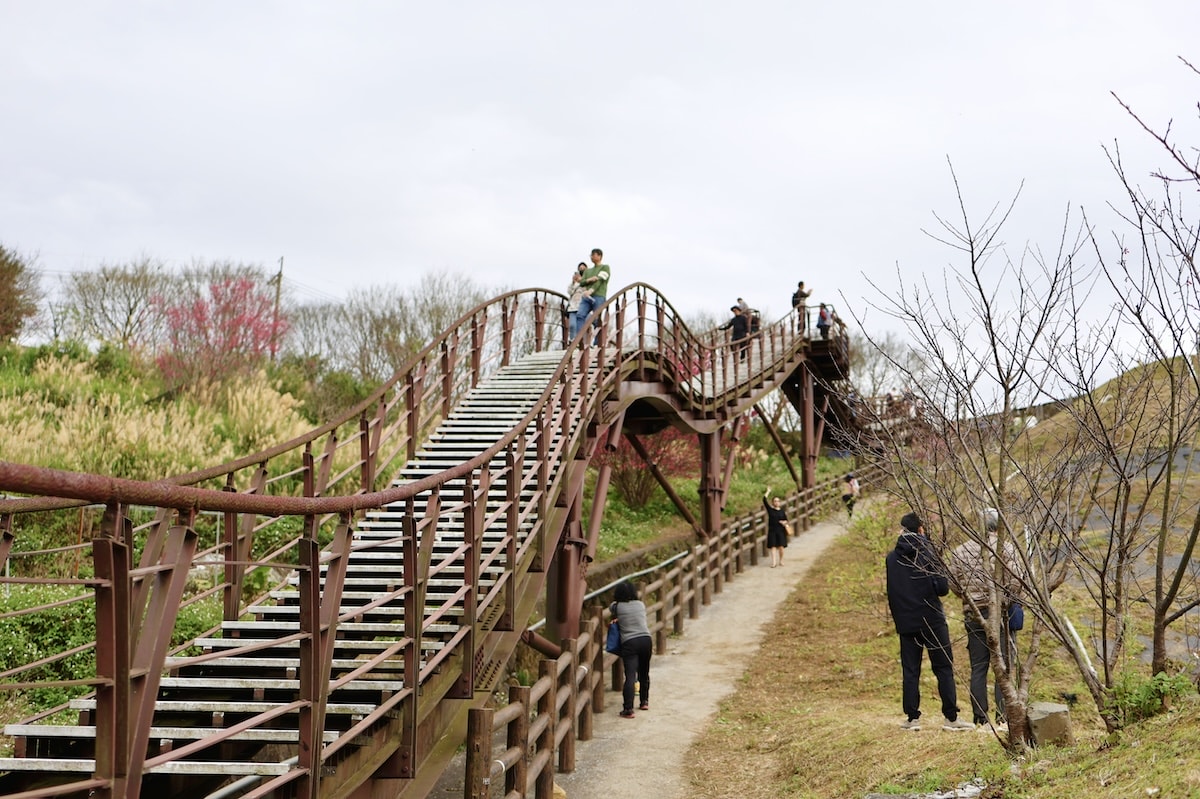 【台北景點】陽明山『平菁街42巷』櫻花巷和『鵝尾山水田』,輕鬆散步路線,稻浪棧橋、粉嫩寒櫻一次收集 - 第10張圖 【台北景點】陽明山『平菁街42巷』櫻花巷和『鵝尾山水田』,輕鬆散步路線,稻浪棧橋、粉嫩寒櫻一次收集