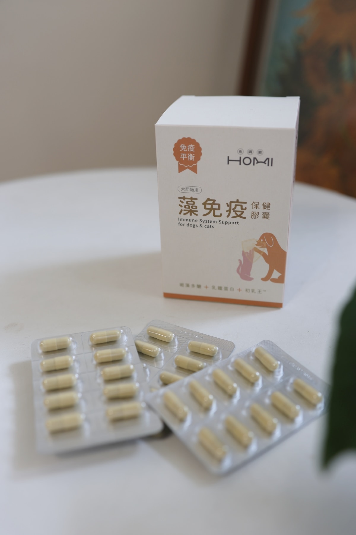 【寵物保健】守護毛孩健康的第一步:挑對寵物保健品!HOMI毛與家「五行保健系列」開箱心得 - 第7張圖 【寵物保健】守護毛孩健康的第一步:挑對寵物保健品!HOMI毛與家「五行保健系列」開箱心得